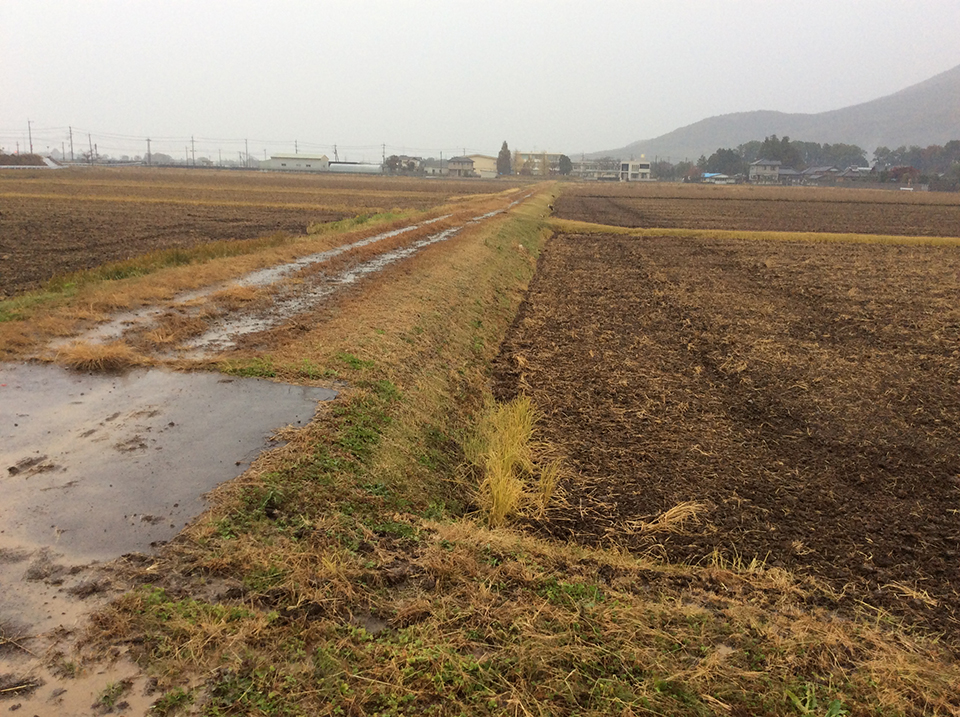 茨城県つくば市 農道舗装新設工事