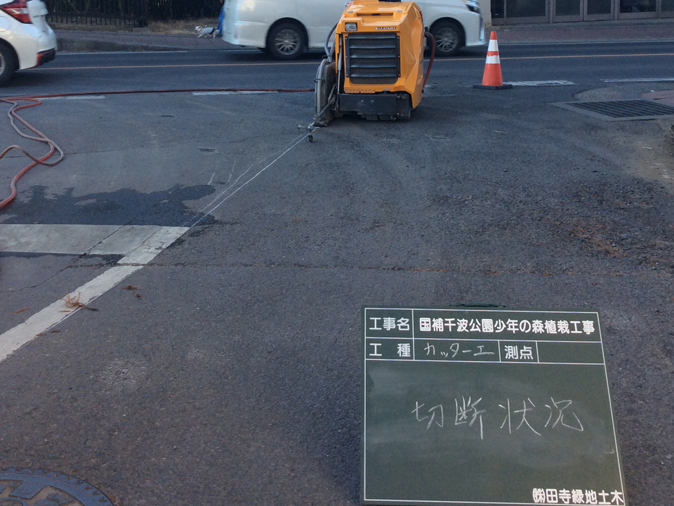 茨城県水戸市 千波公園 少年の森