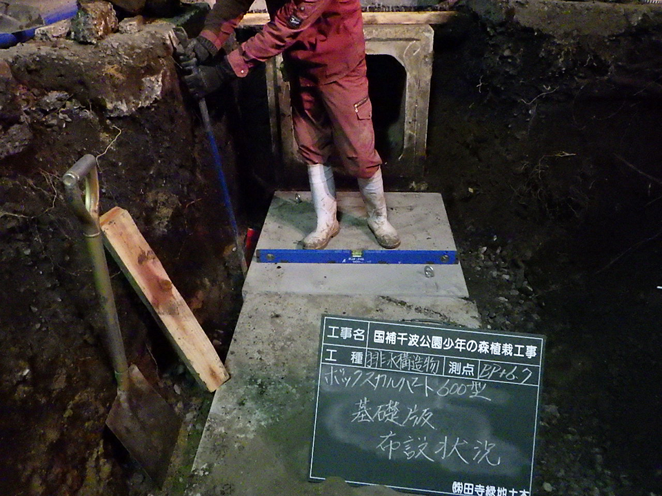 茨城県水戸市 千波公園 少年の森